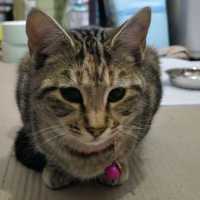 Photo of Ashley, Milo, Teddy