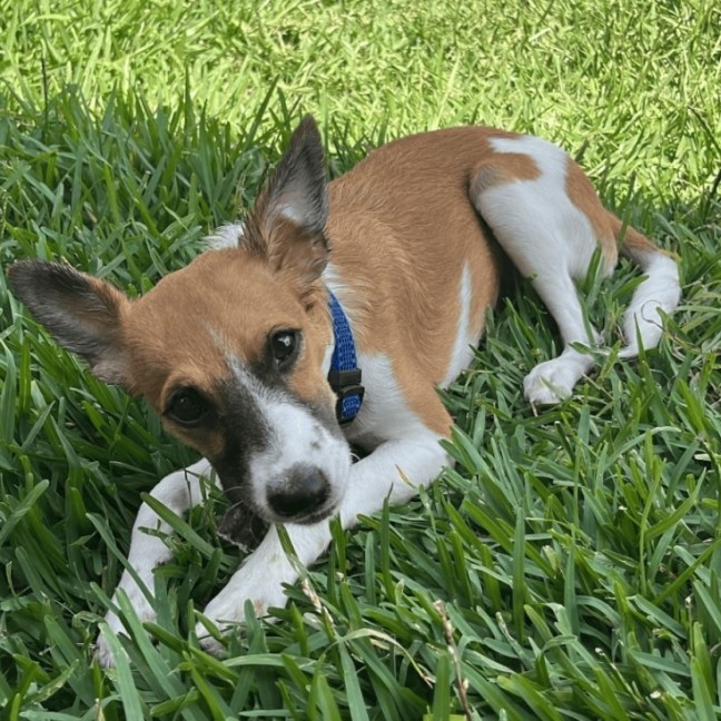 Photo of Rodney