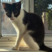 Photo of Lil