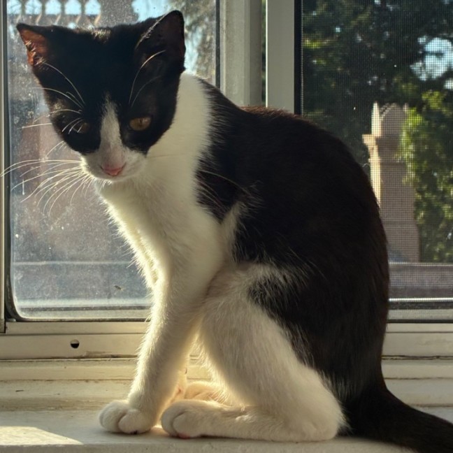 Photo of Lil