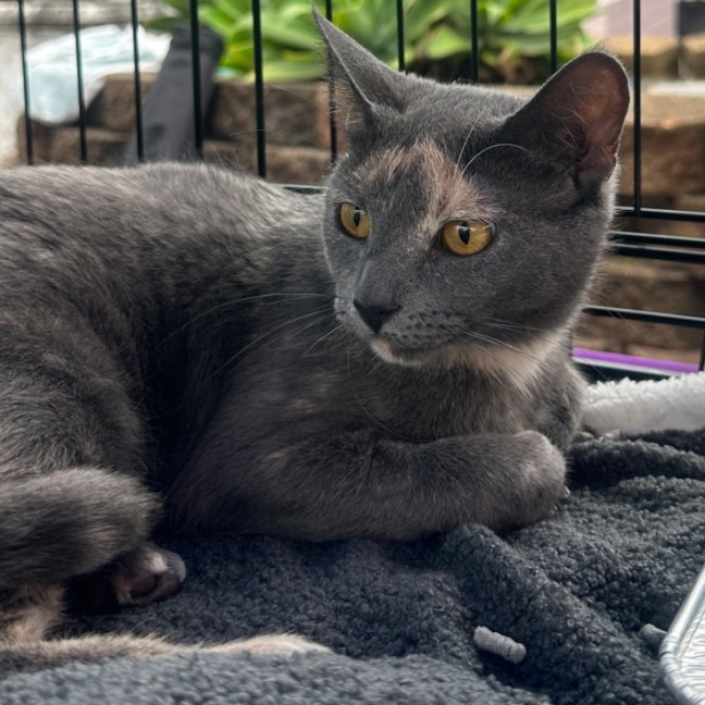 Photo of Blossom 🌸💐🌺