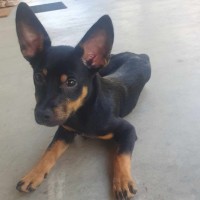 Photo of Billie Jean