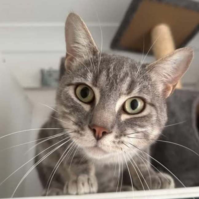 Photo of Leo