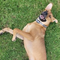 Photo of Flynn