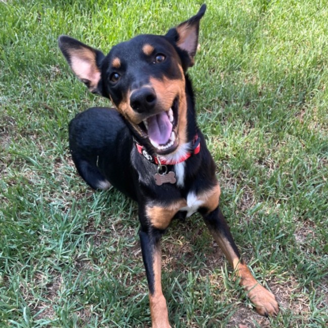 Photo of Melvin