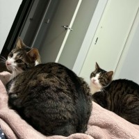 Photo of Darcy & Cy