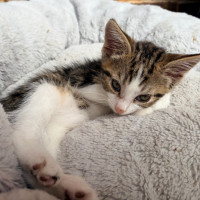 Photo of Baby Clarrie