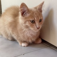 Photo of Trevor 💙