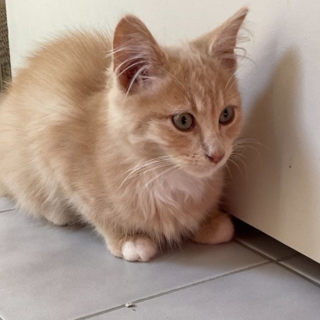 Photo of Trevor 💙