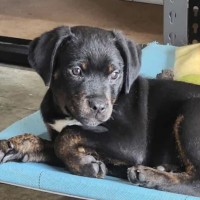 Photo of Zac 💙🐶