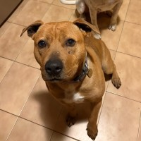 Photo of Goober