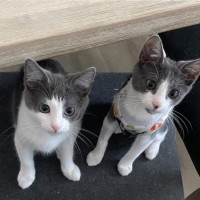 Photo of 💙 Denim 💙