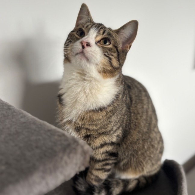 Photo of Normie 💙