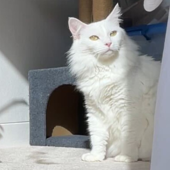 Photo of Dairy Queen