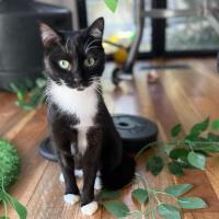 Photo of Stella 🌹