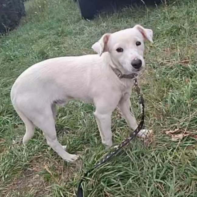 Photo of Wilbur