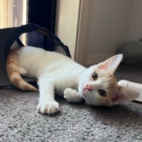 Photo of Elfie