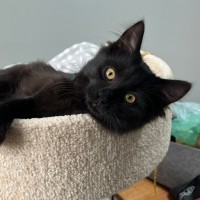 Photo of Wednesday