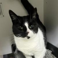Photo of Stella