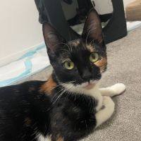 Photo of Delilah