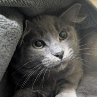 Photo of 💙 Misha 6699 💙