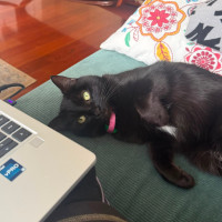 Photo of Moni