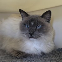 Photo of 🎇 Fiyero 5753 🎇