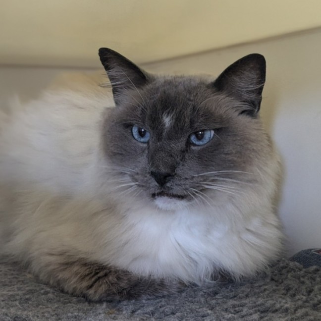 Photo of 🎇 Fiyero 5753 🎇