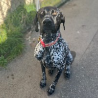 Photo of Murphy