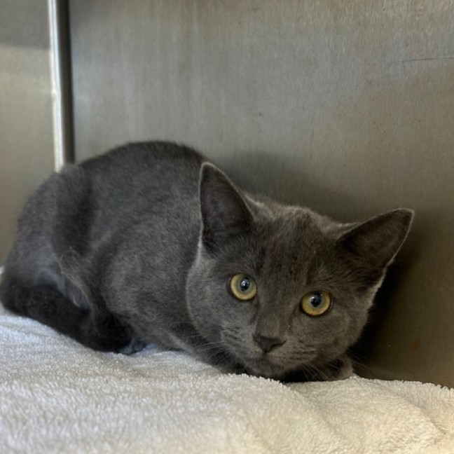 Photo of Will Farrell