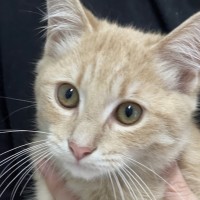 Photo of Gus