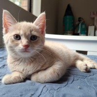 Photo of Aldi Special