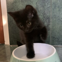 Photo of Lucy