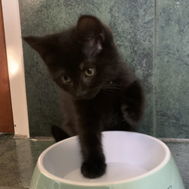 Photo of Lucy