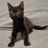 Photo of Freddy