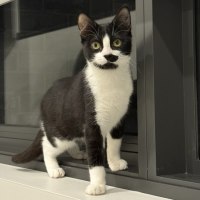 Photo of Arlo