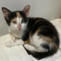 Photo of Skyler