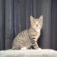Photo of Todd