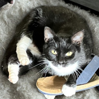Photo of Meg