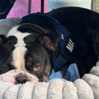 Photo of Max