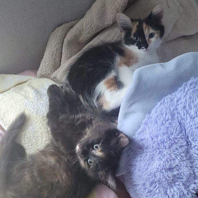 Photo of Nutmeg & Cinnamon