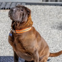 Photo of Molly & Sid