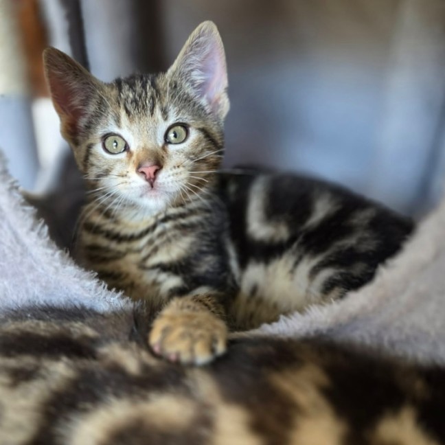 Photo of Lior & Ruel