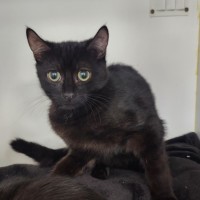 Photo of Melton Crew