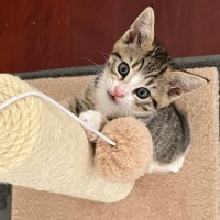 Photo of 😎 Simon 😎