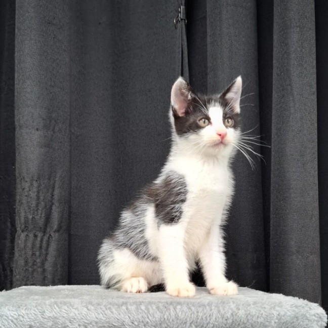 Photo of Wyatt