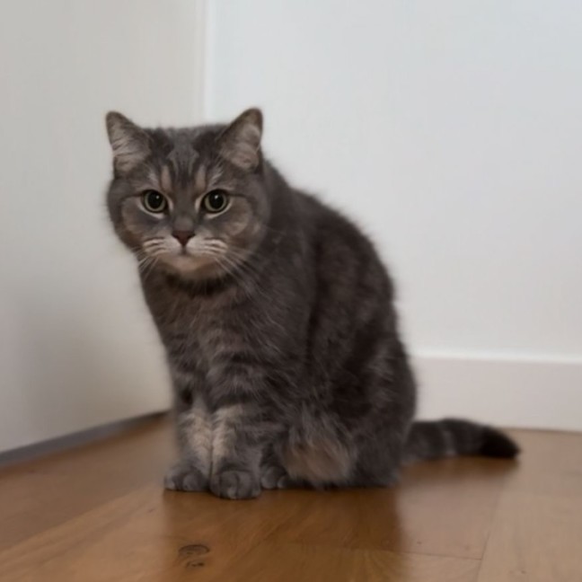 Photo of Gigi
