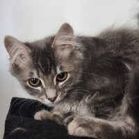 Photo of Melton Crew