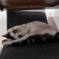 Photo of Smidge