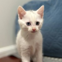 Photo of 💜Greyson 💜